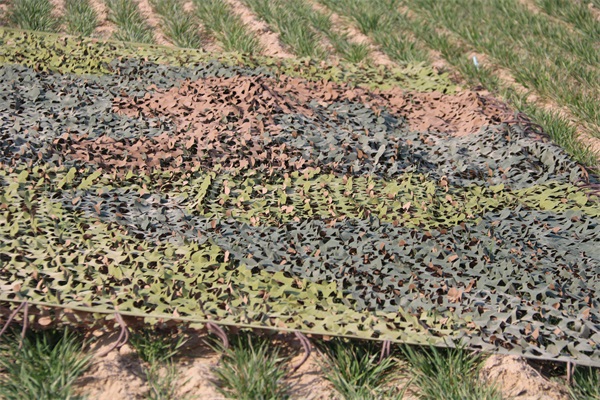 沙漠環境下偽裝網的使用需要具備哪些特點？